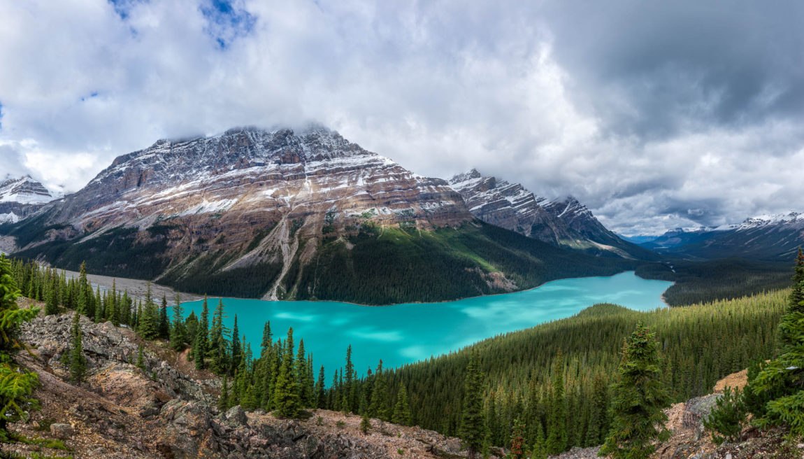 Peyto Lake, just off the Glacier Parkway